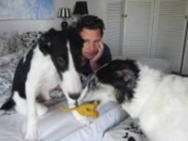 Guido Maria Kretschmer Hunde Guido Maria Kretschmer Hunde